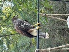 IMG_1357.jpeg