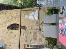 IMG_4119.jpeg