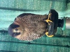 IMG_2880.jpeg
