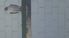 20240117_143224.jpg