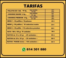 1708247251056_TARIFAS 2024.jpg