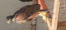 IMG_20240509_180621.jpg
