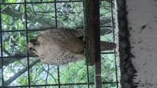 IMG-20240519-WA0013.jpeg
