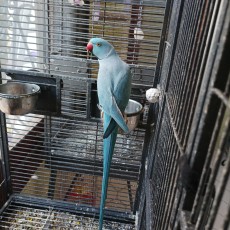 IMG_20240610_075642.jpg