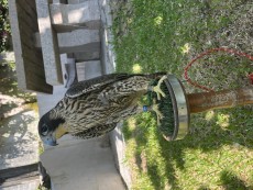 IMG_7813.jpeg