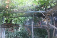 453334898_3951425468476439_9069971622760591681_n.jpg (433.87 KiB) Visto 2247 veces 453334898_3951425468476439_9069971622760591681_n.jpg