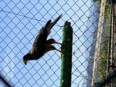IMG_0855.jpeg