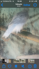 IMG_8574.png