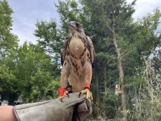 448924467_7813165058752284_3657845175009289856_n.jpg (104.17 KiB) Visto 1544 veces 448924467_7813165058752284_3657845175009289856_n.jpg