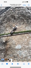 IMG_6115.jpeg