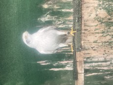 IMG_9041.jpeg