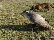 IMG_4616.jpeg