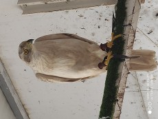 IMG_20250122_132426.jpg