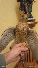 IMG_20250130_210826.jpg