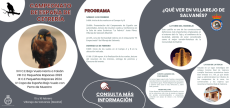 PROGRAMA.png