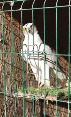 IMG_20240130_173236.jpg