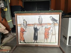 IMG_9781.jpeg