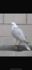 IMG_0981.png