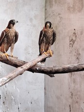 IMG_5082.jpeg