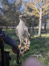 Foto de hoy en jornada de caza